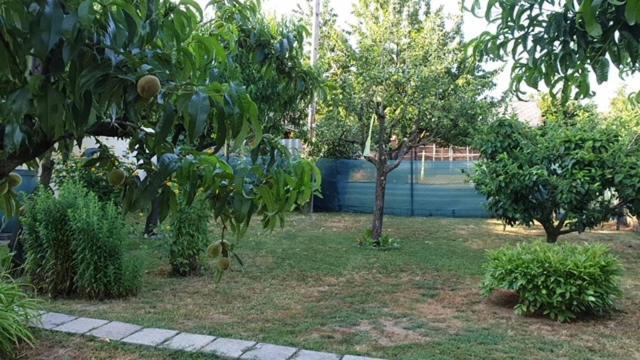 Ilona Apartmanok Balatonboglár 외부 사진